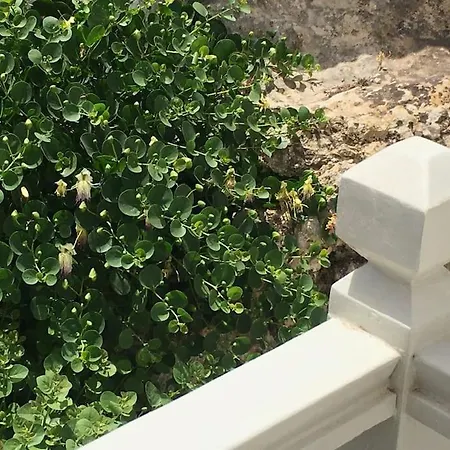 بيت للعطل Cappari House
