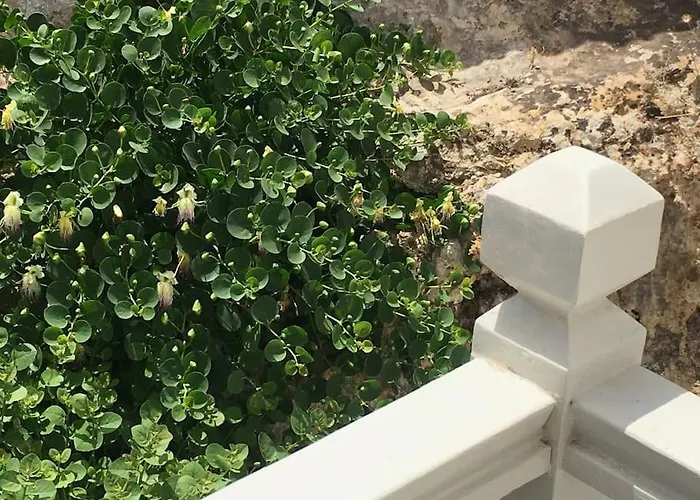 別荘 Cappari House